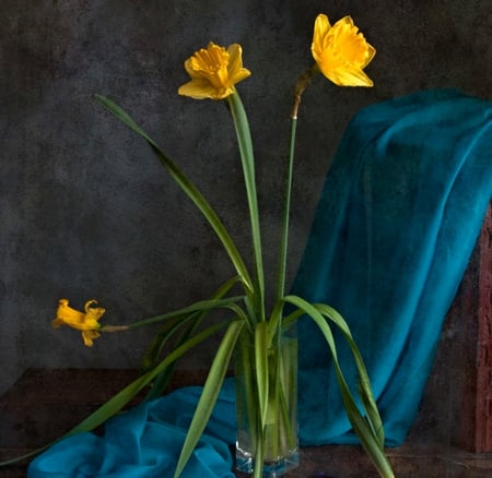 Narcissus - beautiful, flower, yellow, narcissus