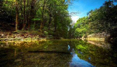 River In The Heart Of Forest - reflections, river, trees, beautiful, blue sky, forest, crystal clear water