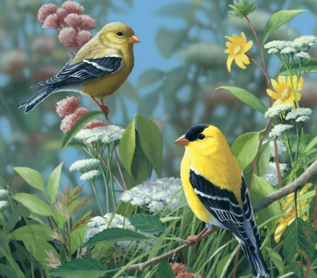 Painting - flowers, spring, yellow, birds