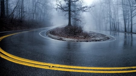 Slippery turn - road, wet, rain, 1920x1080