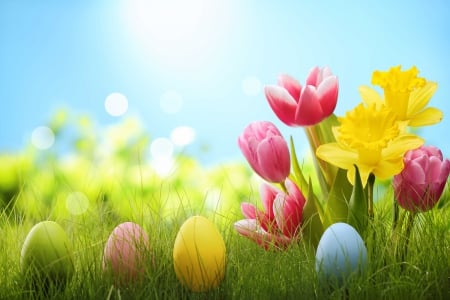 Easter & Spring - eggs, circles, grass, daffodils, Easter, flowers, tulips, Spring, sky