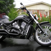 Harley Davidson V-Rod