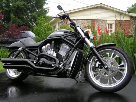 Harley Davidson V-Rod - bike, motorcycle, v-rod, harler