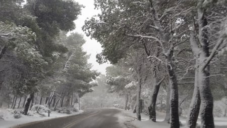 Mount Parnitha - Greece - ice, street, travel, winter, mountains, greece, nature, forest, snow, landscapes