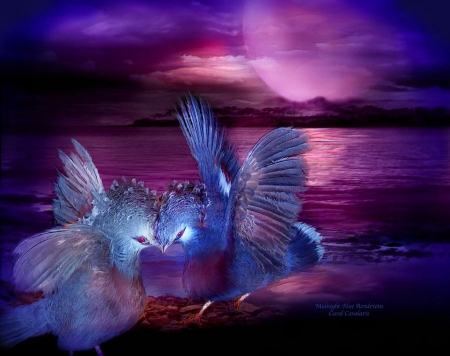 Midnight Blue Rendezvous - lake, birds, purple, artwork