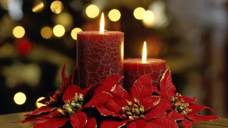 Candles For Christmas - christmas, pretty, candles, holidays