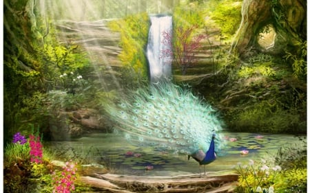 peacock paradise - peacock, waterfall, lake, paradise, flower