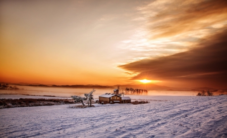 Nature - winter, nature, snow, cold