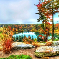 AUTUMN LAKE