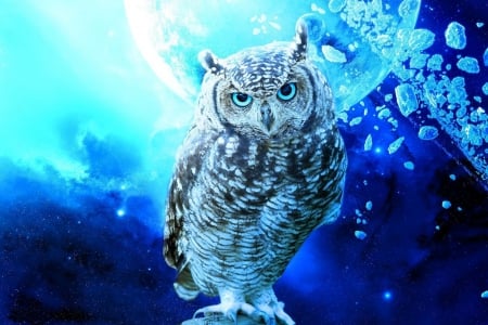 Owl in space - owl, in, cute, space