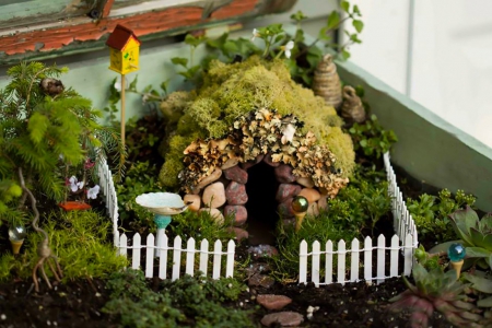 Fairy house and garden at home - handmade, homes, fairies, fairy, house, land, garden