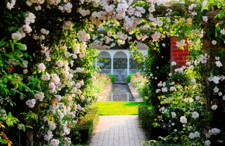 Beautiful garden - fragrance, roses, bush, park, lovely, spring, fountain, pretty, beautiful, scent, flowers, garden