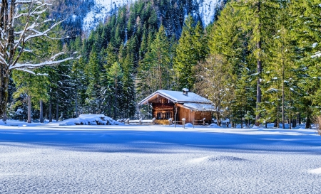 Snowy Forest Cottage - cottage, wooden fence, trees, mountain, winter, cold, forest, snow, beautiful