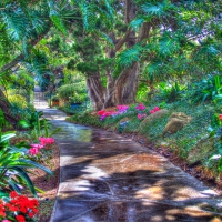 Spring Garden Path