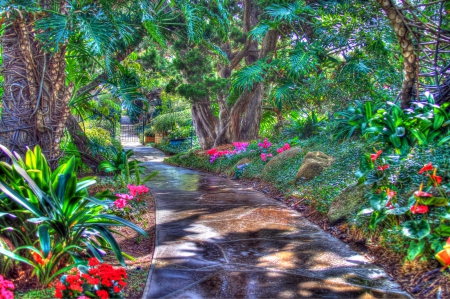 Spring Garden Path - trees, gate, Encinitas, flowers, path, California, Spring, garden, plants, foliage, Encinitas California, Meditation Gardens