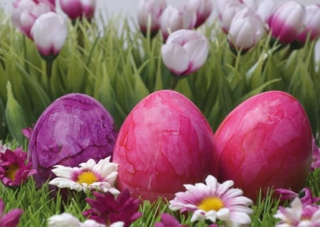 Easter Eggs - eggs, holiday, easter, flowers, grass, spring