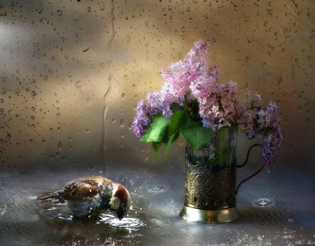 Still Life - flowers, still life, water, bird