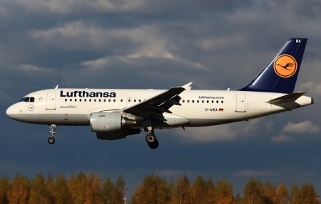 Airbus -A319 - a319, plane, airbus, landing