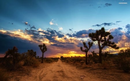 mojave desert north america - north, desert, mojave, america