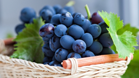 Fresh Grapes - berries, grapes, basket, fresh, food