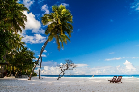 Tropical Beach - clouds, morning view, Maldives, beautiful, chairs, blue sky, sea, tropical, palm trees, paradise