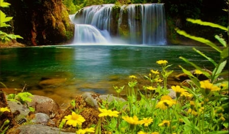 Forest waterfall - pretty, summer, beautiful, spring, forest, lovely, wildflowers, nature, waterfall