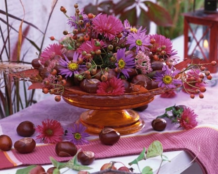 Beautiful Flower Arrangement - bloom, flowers, petals, tray