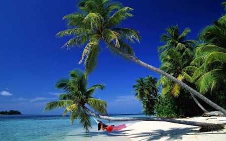 Girl in Hammock on a Beautiful Tropical Beach - hammock, trees, nature, beach