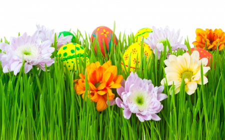 Easter Eggs and Spring Flowers - easter, holiday, flowers, spring, eggs, grass