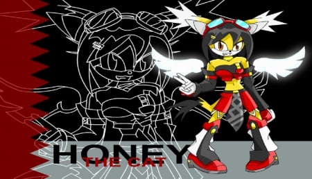 Honey the Cat 2 - Honey the Cat, Sonic, Sonic the Hedgehog, Video Games