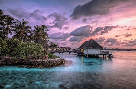 Summer - sea, Palms, sunset, summer