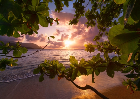 Hanalei Beach, Kauai - clouds, trees, branches, hills, beach, beautiful, sea, island, sand, Hawaii, sunset, sky