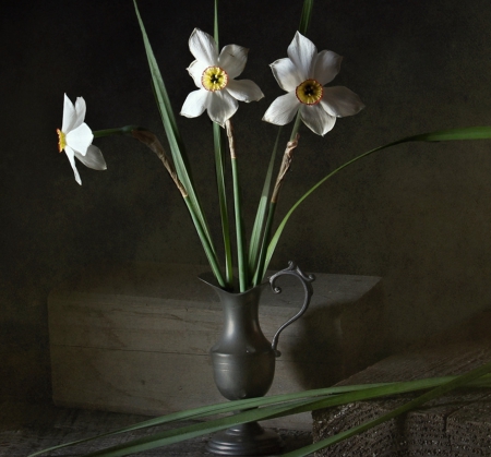 Still Life - flowers, white, simple, still life