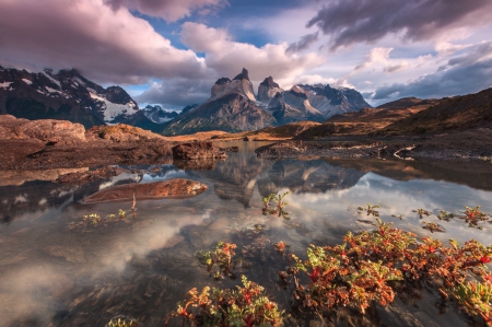 Mountains - plants, Mountains, clouds, water