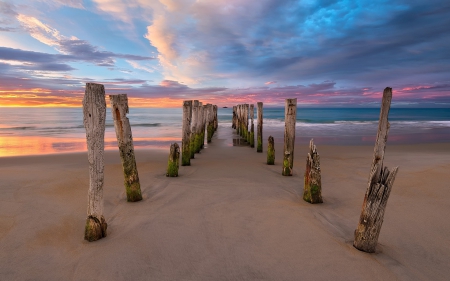 Sea - beach - landscape, piles, beach, Sea