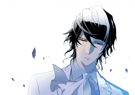 Cadis Etrama Di Raizel - Manga, Protagonist, Noblesse, Anime