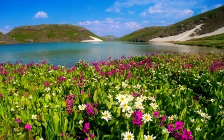 Island lake-Colorado - lake, sky, landscape, hills, summer, meadow, shore, lovely, spring, pretty, beautiful, island, colorado, wildflowers