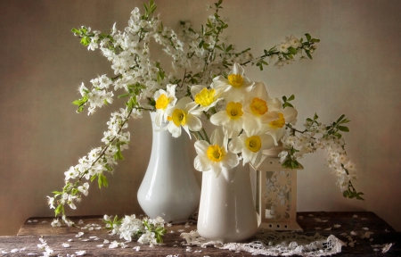 Still Life - flowers, vase, white, still life