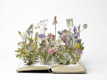 Anthology book - books, flowers, plants, anthology, book, spring