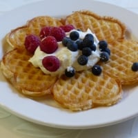 Waffle-Day March 25