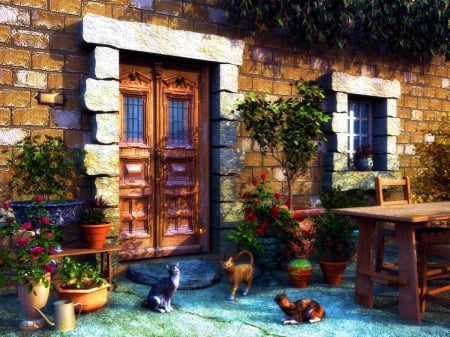 Country Cottage - flowers, pots, door, window, cats, table, 3d