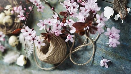 Spring Easter Blossoms - sakura, cherry blossoms, spring, Easter, flowers, egg shell, nest, string, feathers