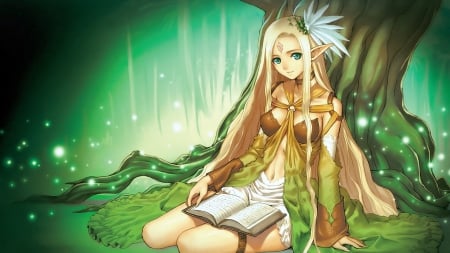 Elven Girl - anime, elven girl, elf, anime girl