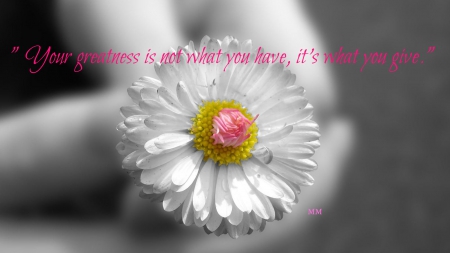 Greatness - Quotes, Words, Nature, Thoughts, Flower