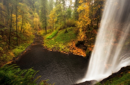 Waterfall in Autumn Forest - forests, waterfalls, trees, nature, autumn, autumns beauty