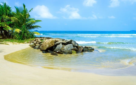 Tropical Beach - beaches, trees, paradise, palms, tropical, rocks, oceans, nature, blue, sea