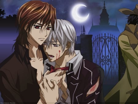 Vampire Knight - anime, vampires, night, manga