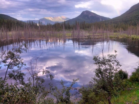 Toad River Lodge - lake, forest, cool, fun, nature, mountain