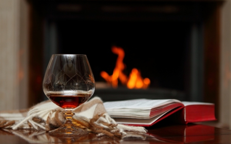 relax - entertainment, fun, cool, book, wine, fire, relax