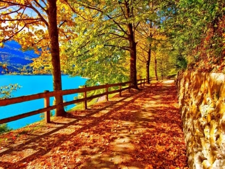 Turquoise Lake - trees, nature, road, turquoise, forest, lakes